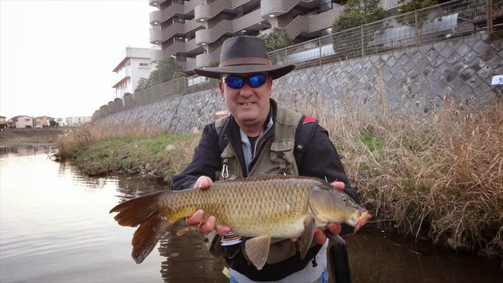 Best 16 Most Wanted Fish in Japan 2022