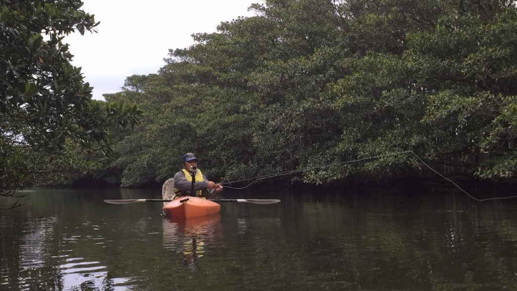 Mangrove Island Soul Laundry with Fly Fishing Tokyo Fly Fishing