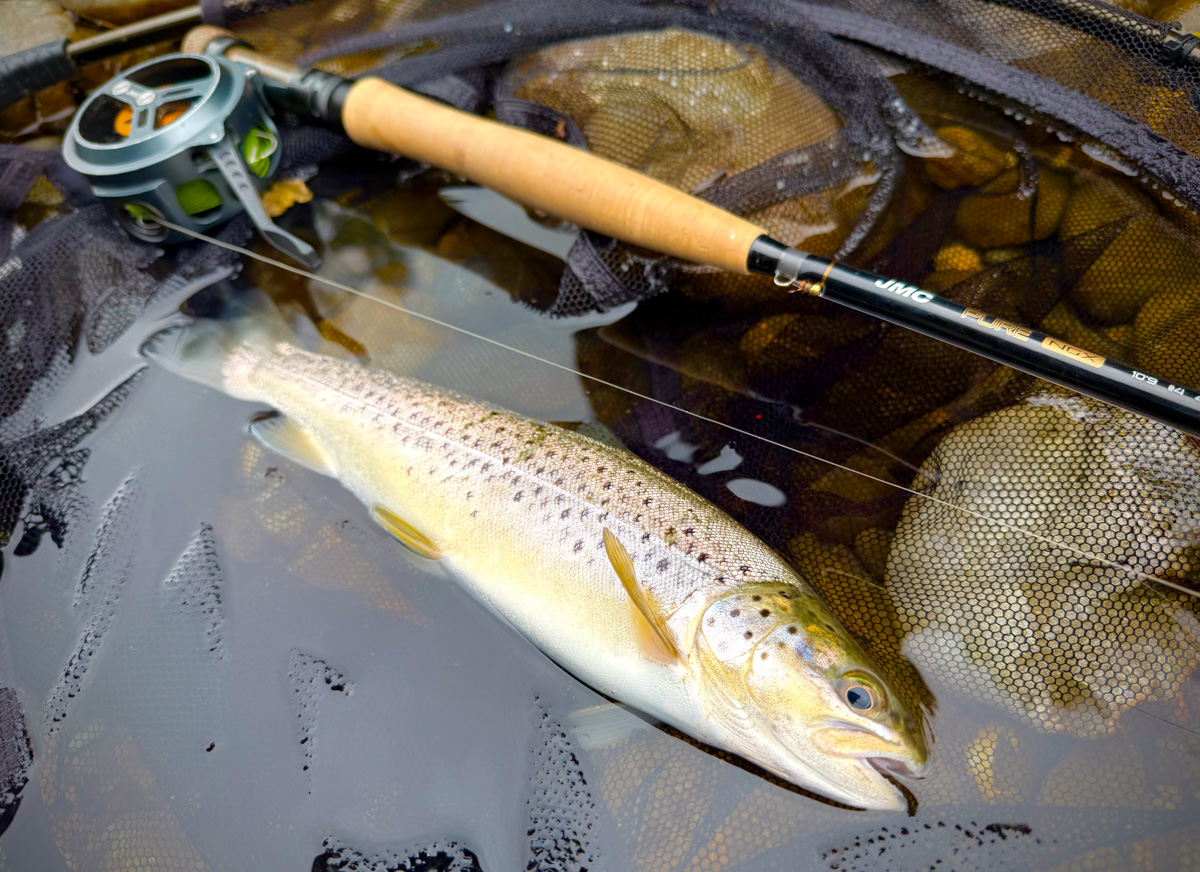 ブラウントラウトのフライフィッシング | Tokyo Fly Fishing & Country