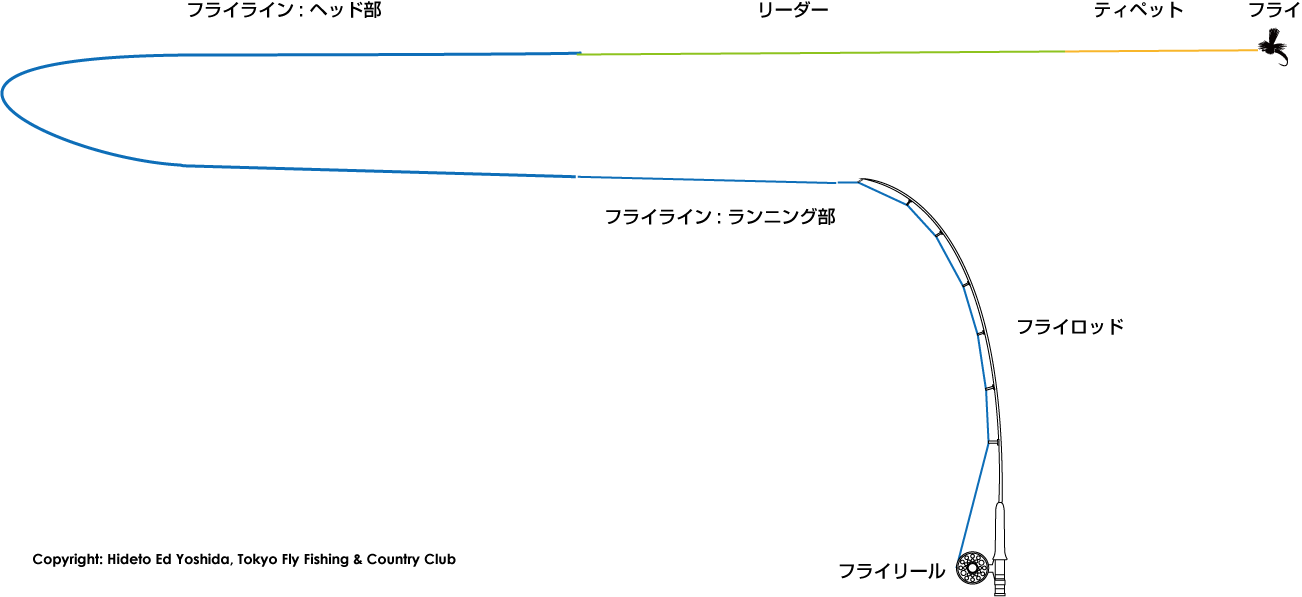 フライフィシングについて フライラインを選ぶポイント Affta チャート Tokyo Fly Fishing Country Club 東京フライフィッシング カントリークラブ