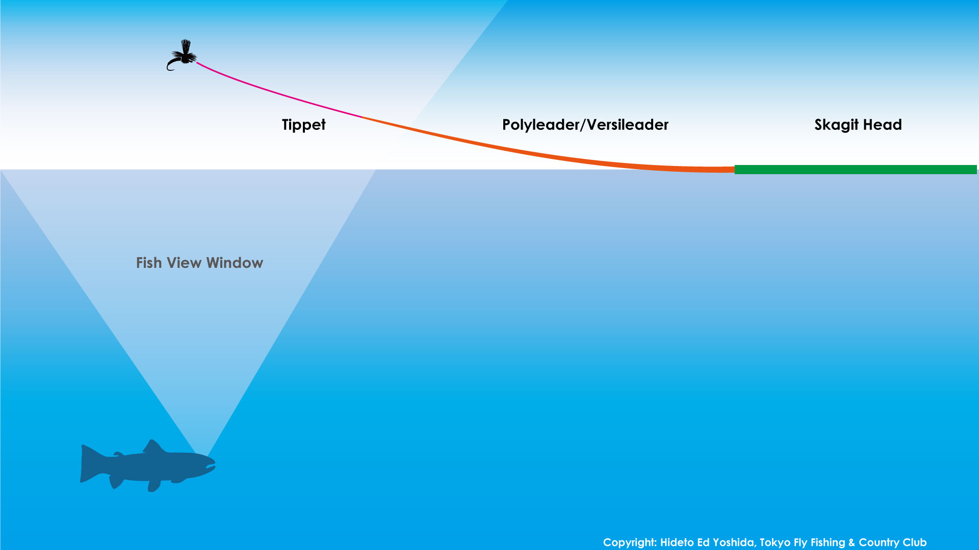 ライン、リーダー、ティペット早見表 | Tokyo Fly Fishing & Country 