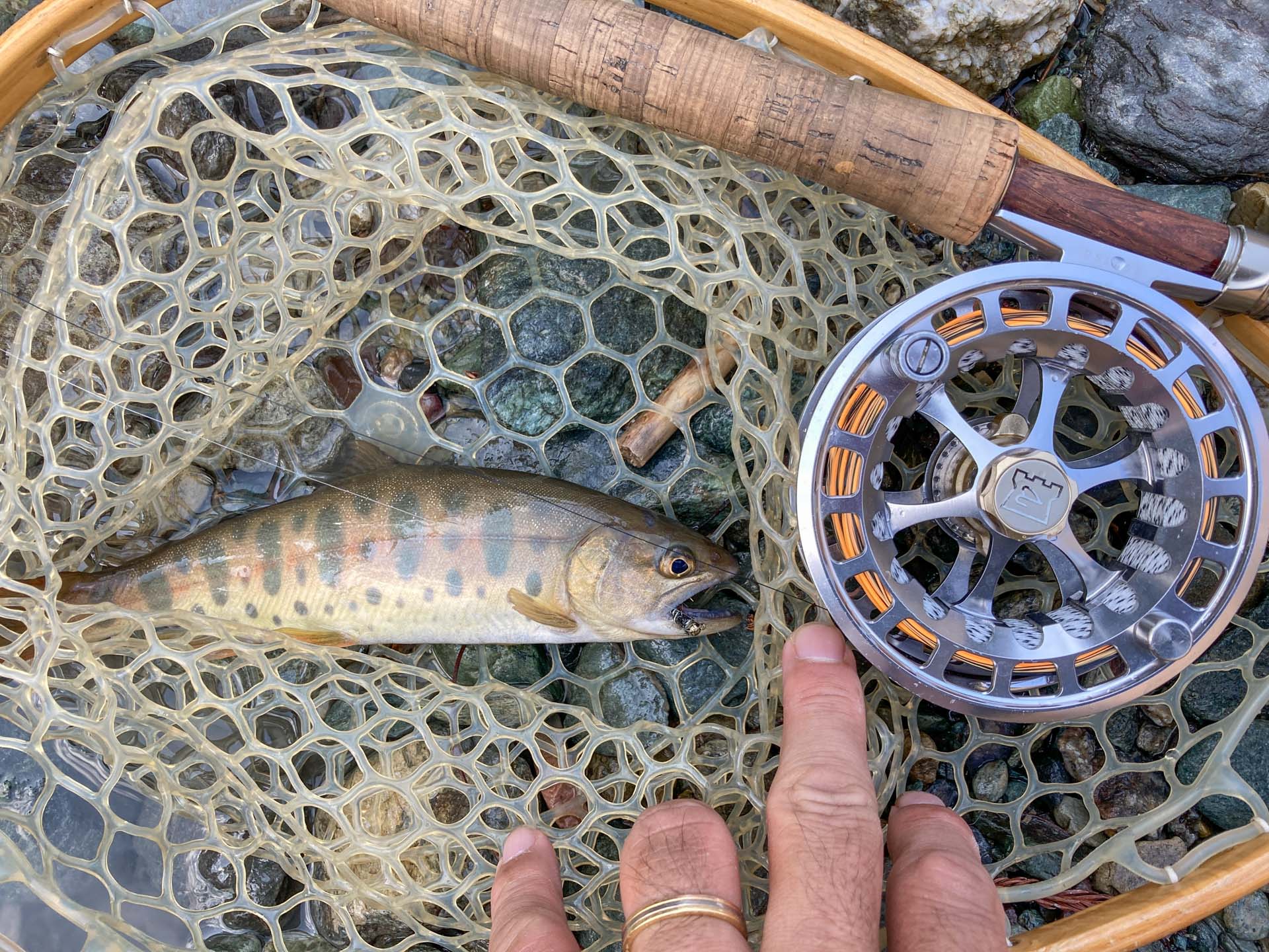 お譲り先決まりました！バス釣り ロッド4本リール2個