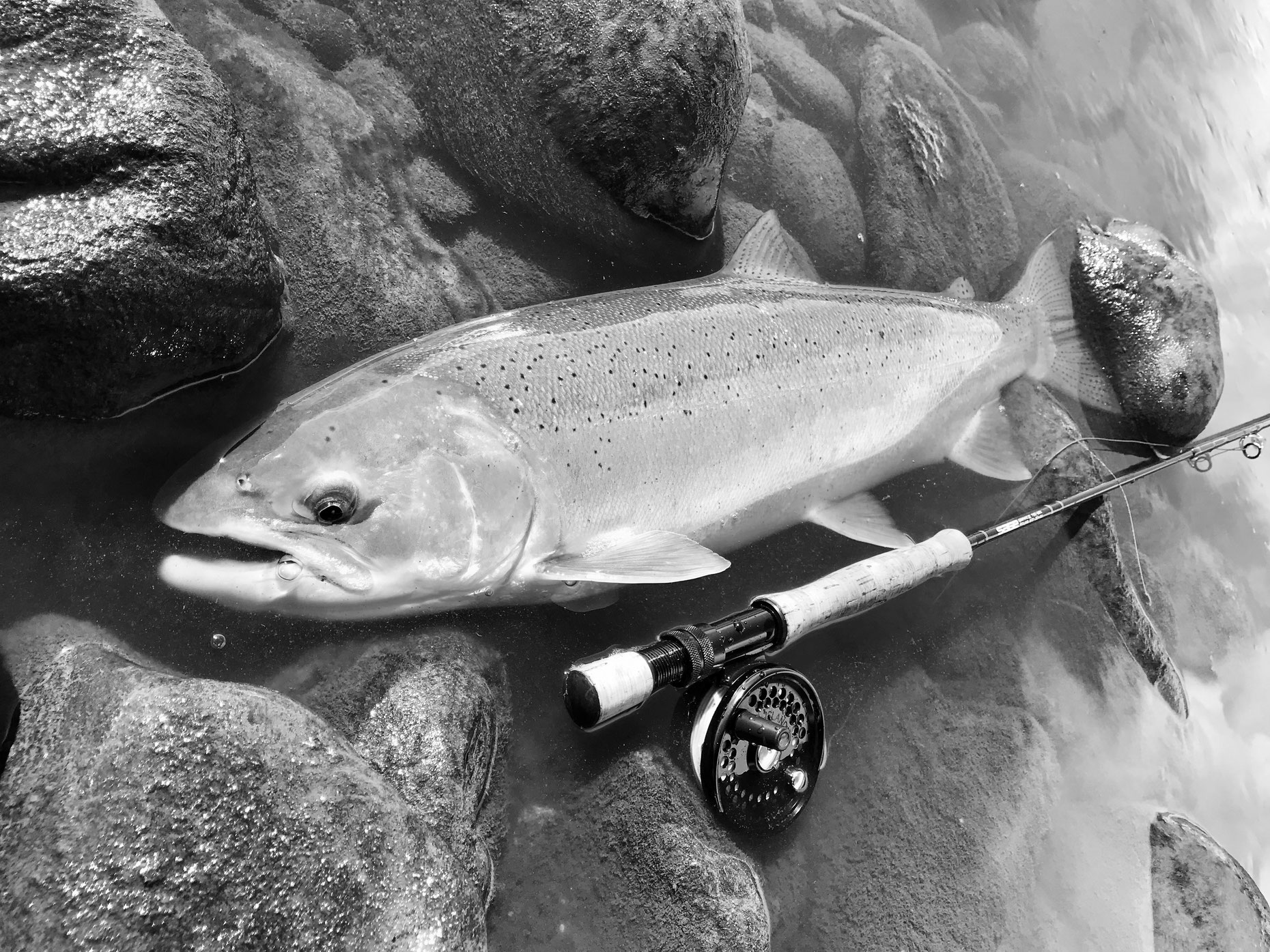 CADDIS バスフィッシング用フローターフルセット （シングルハンド8番 