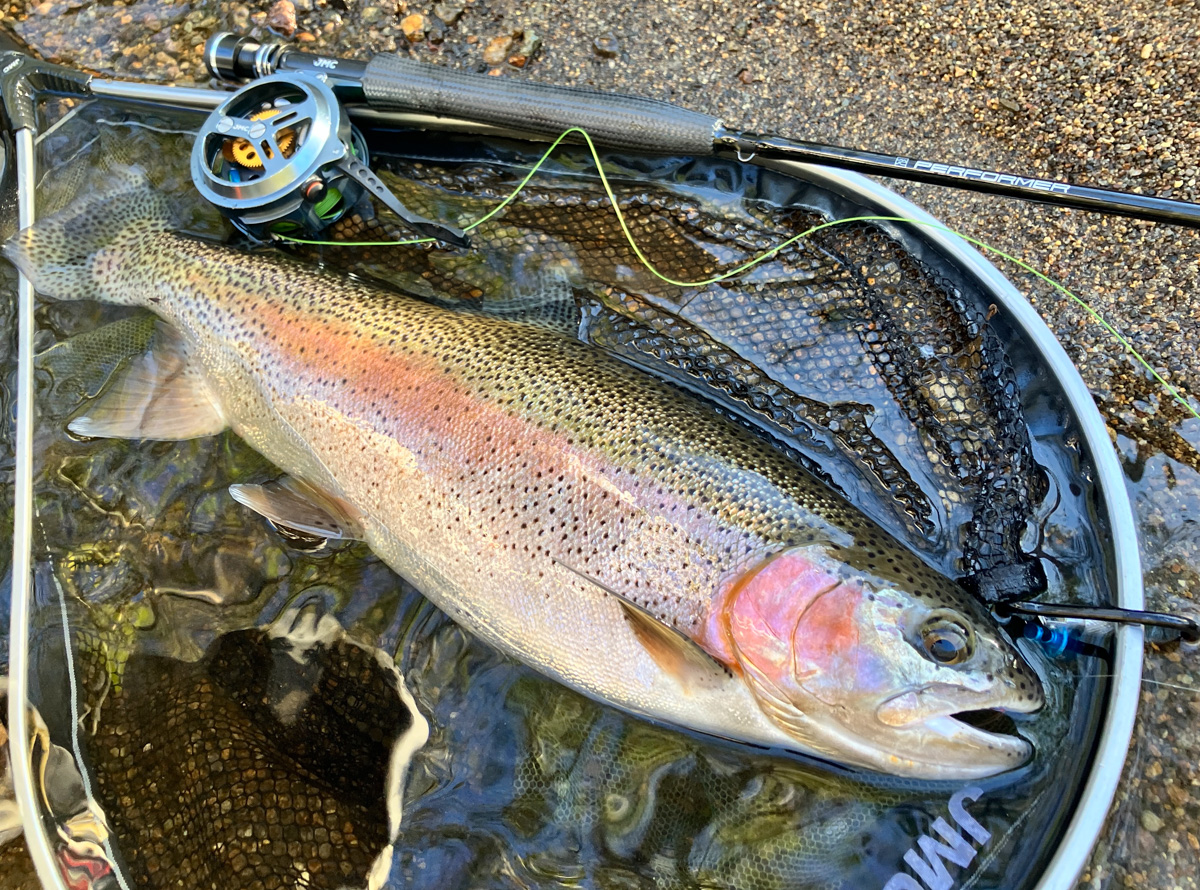 ユーロニンフの基本とタックル選び | Tokyo Fly Fishing & Country Club | 東京フライフィッシング＆カントリークラブ