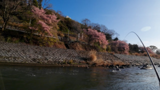 Thumbnail of post image 078