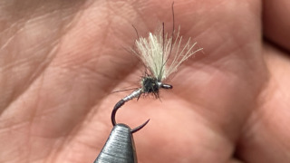 Thumbnail of post image 004