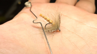 Thumbnail of post image 163
