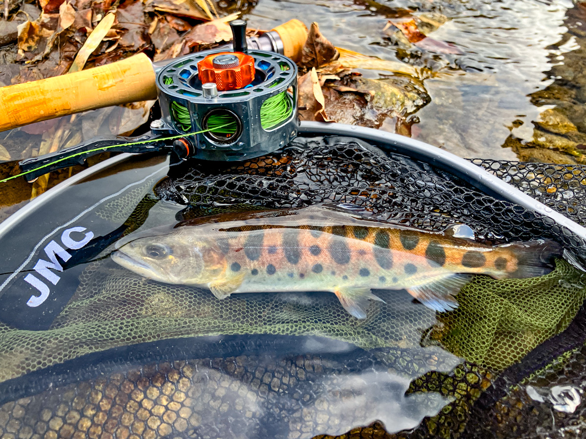 ユーロニンフ「最強」：フレンチニンフ – 基本編 | Tokyo Fly Fishing & Country Club | 東京フライフィッシング＆カントリークラブ