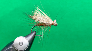 トビケラ (カディス) | Tokyo Fly Fishing & Country Club | 東京