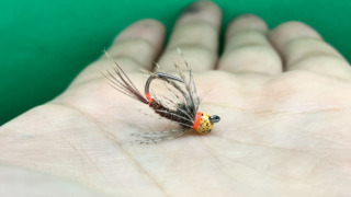 トビケラ (カディス) | Tokyo Fly Fishing & Country Club | 東京