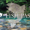FISHPASS（フィッシュパス） - FISHPASS（フィッシュパス）は、あなたの川釣りライフ