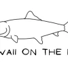Hawaii on the Fly